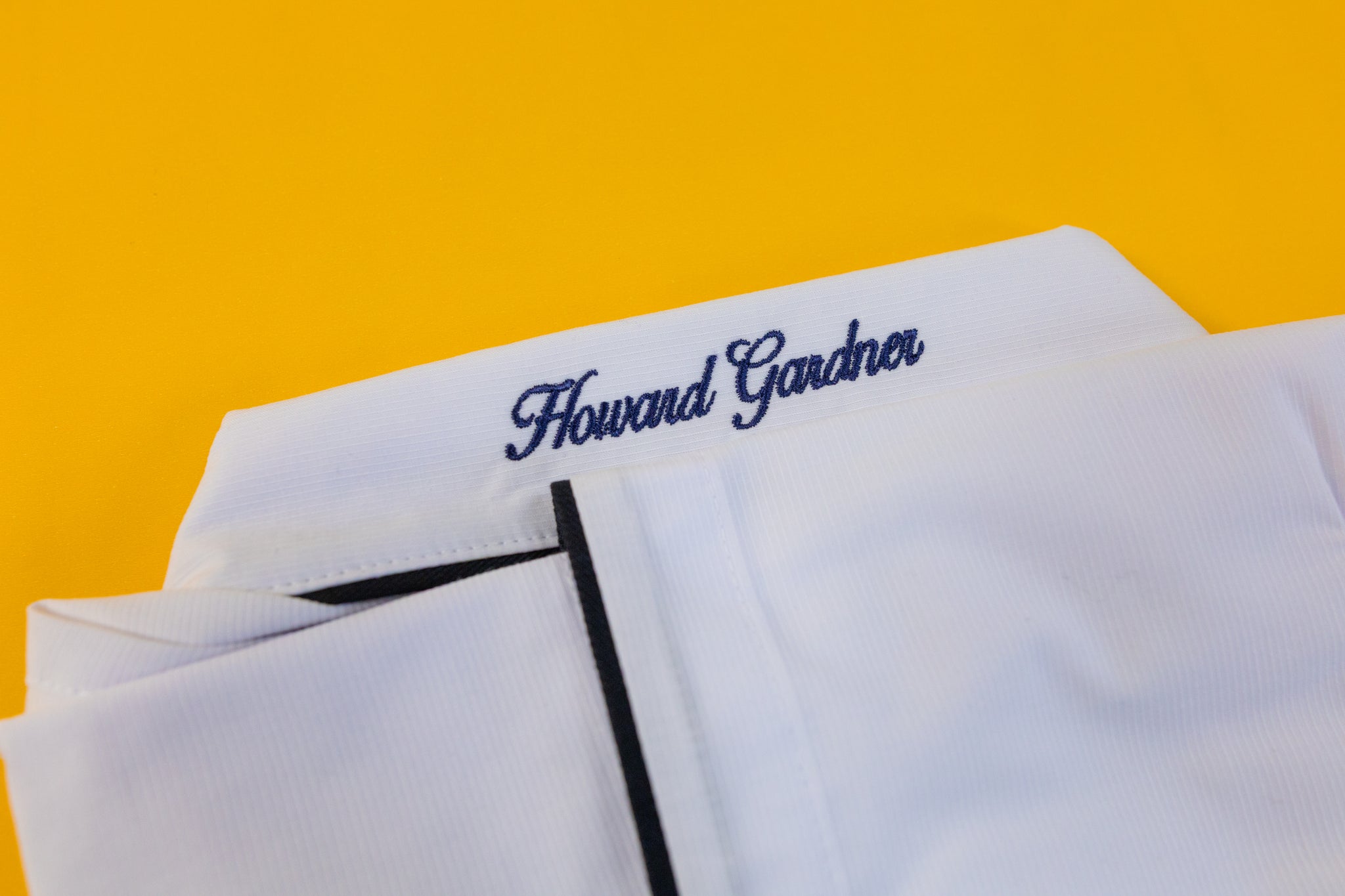 Blusa de diario y gala - Howard Gardner