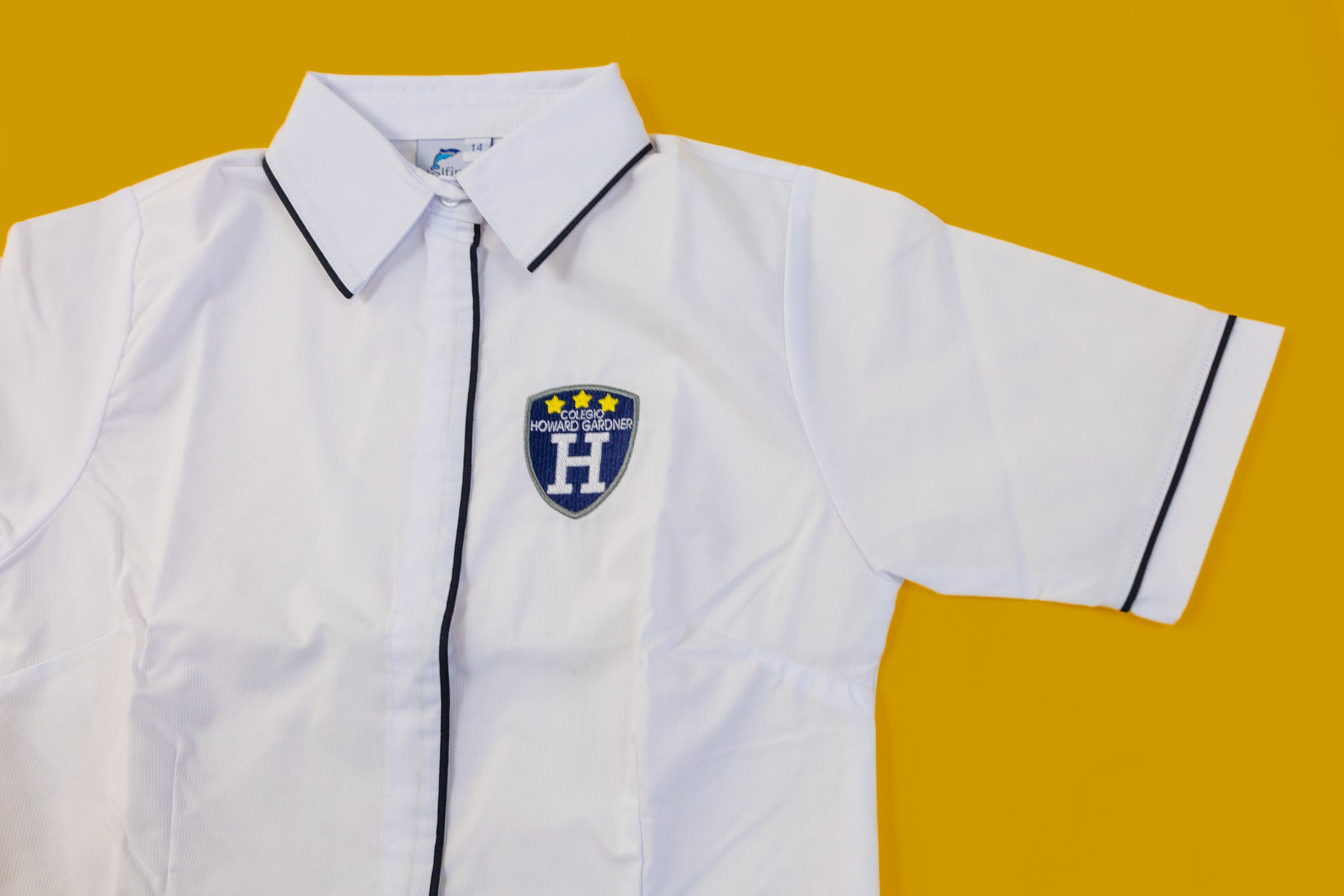 Blusa de diario y gala - Howard Gardner