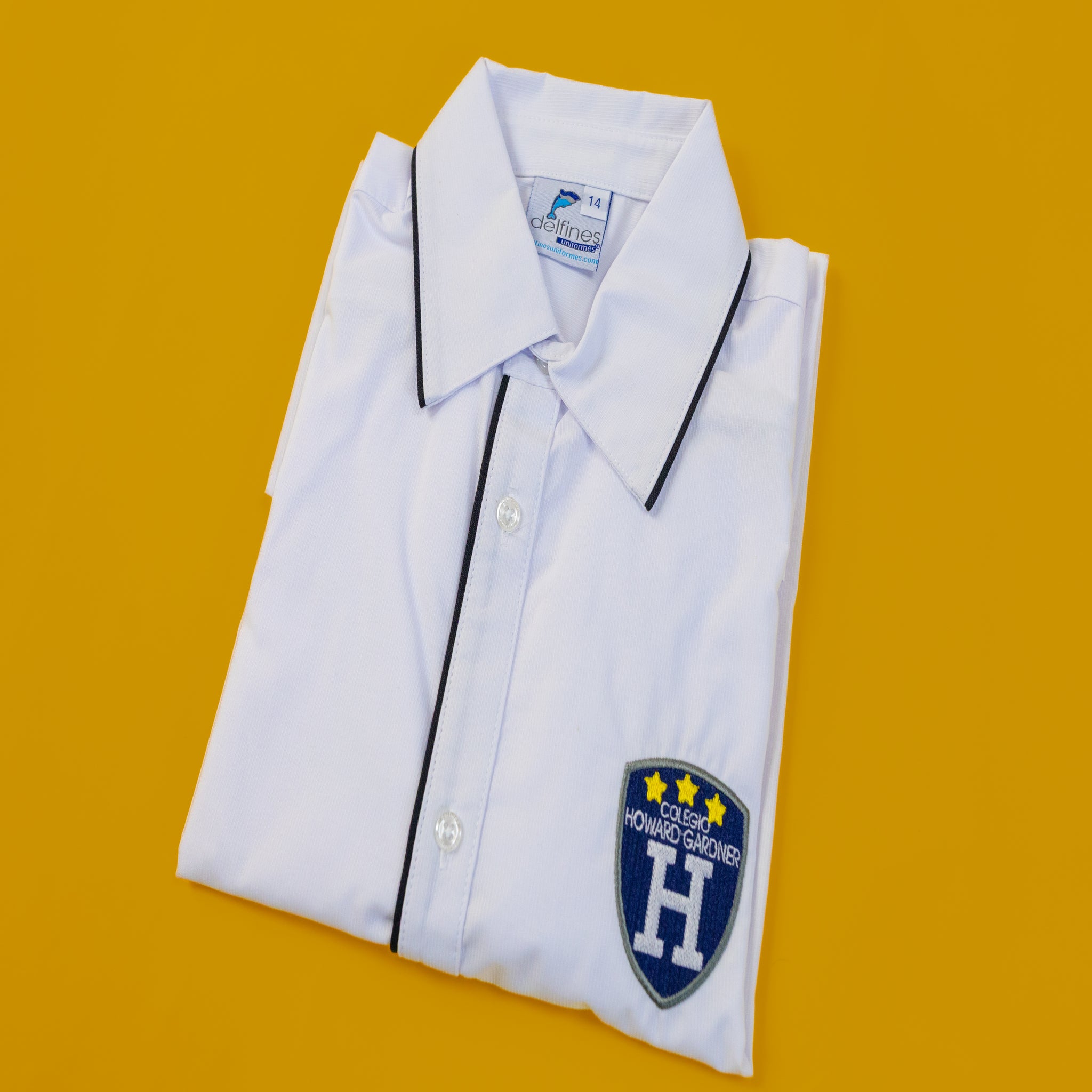 Camisa de diario y gala - Howard Gardner