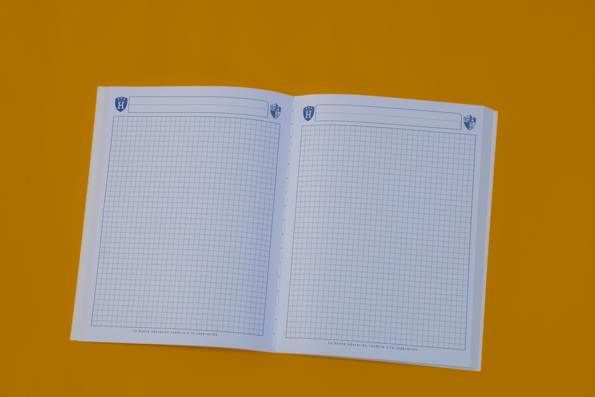 Libreta College Anglo Mexicano - Howard Gardner