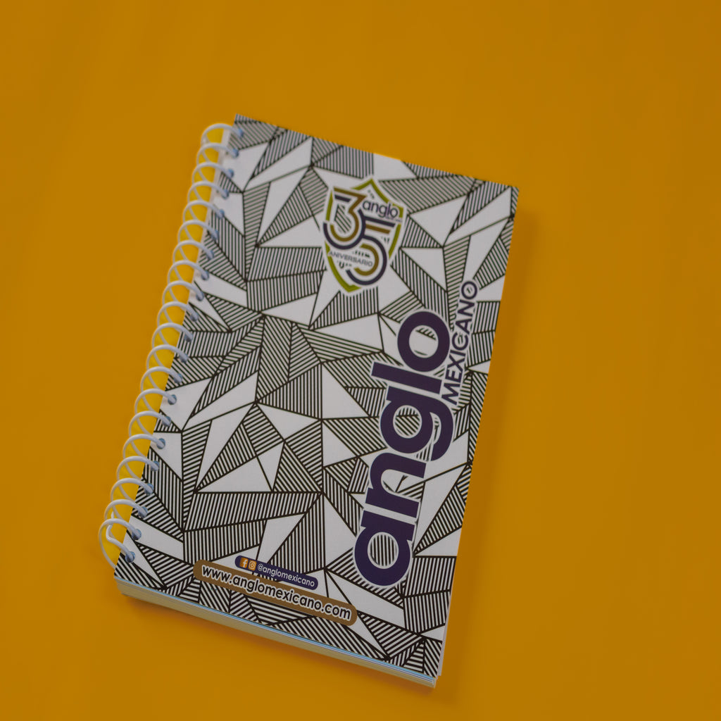Libreta Profesional Anglo Mexicano - Howard Gardner