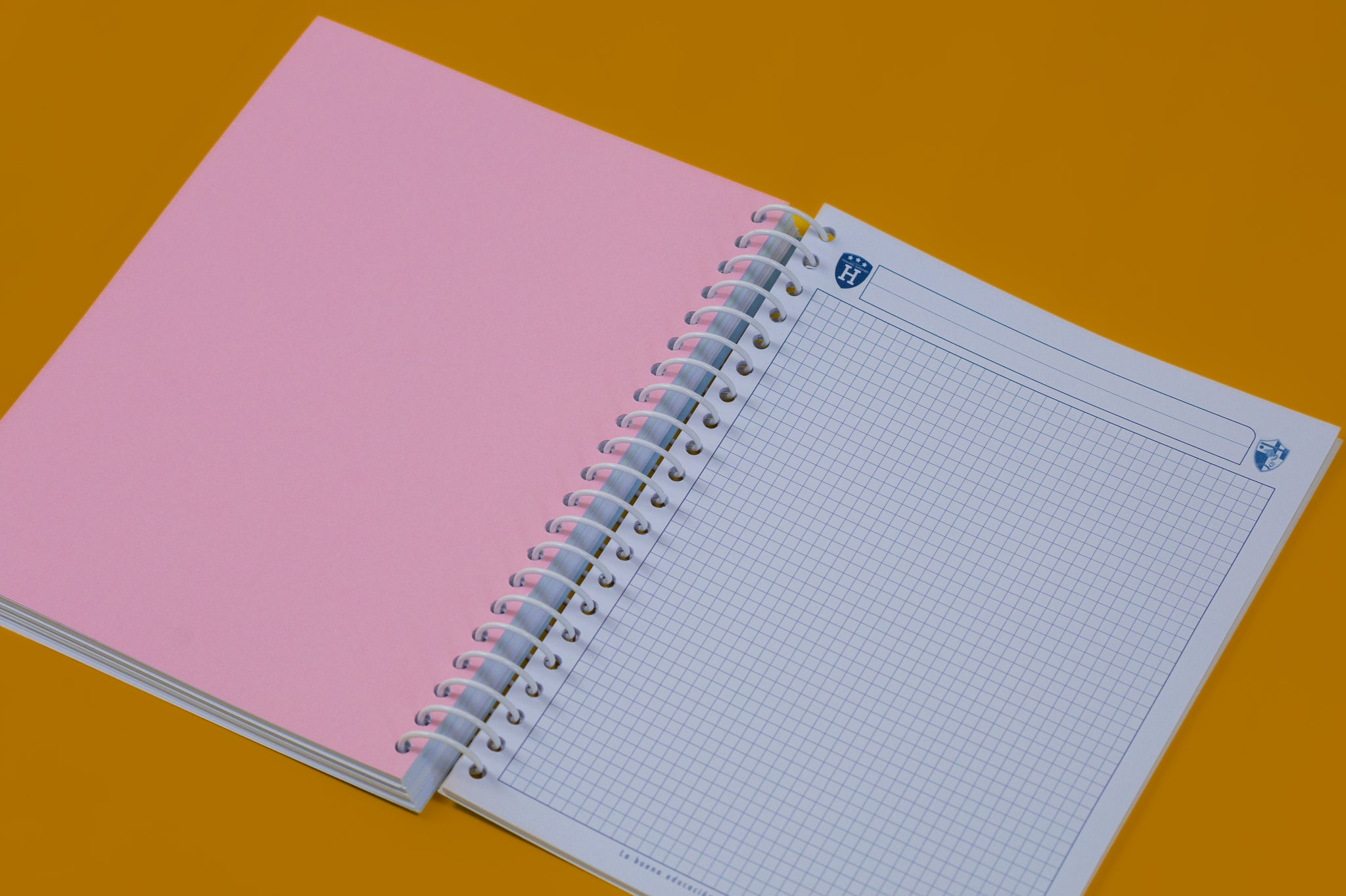 Libreta Profesional Anglo Mexicano - Howard Gardner