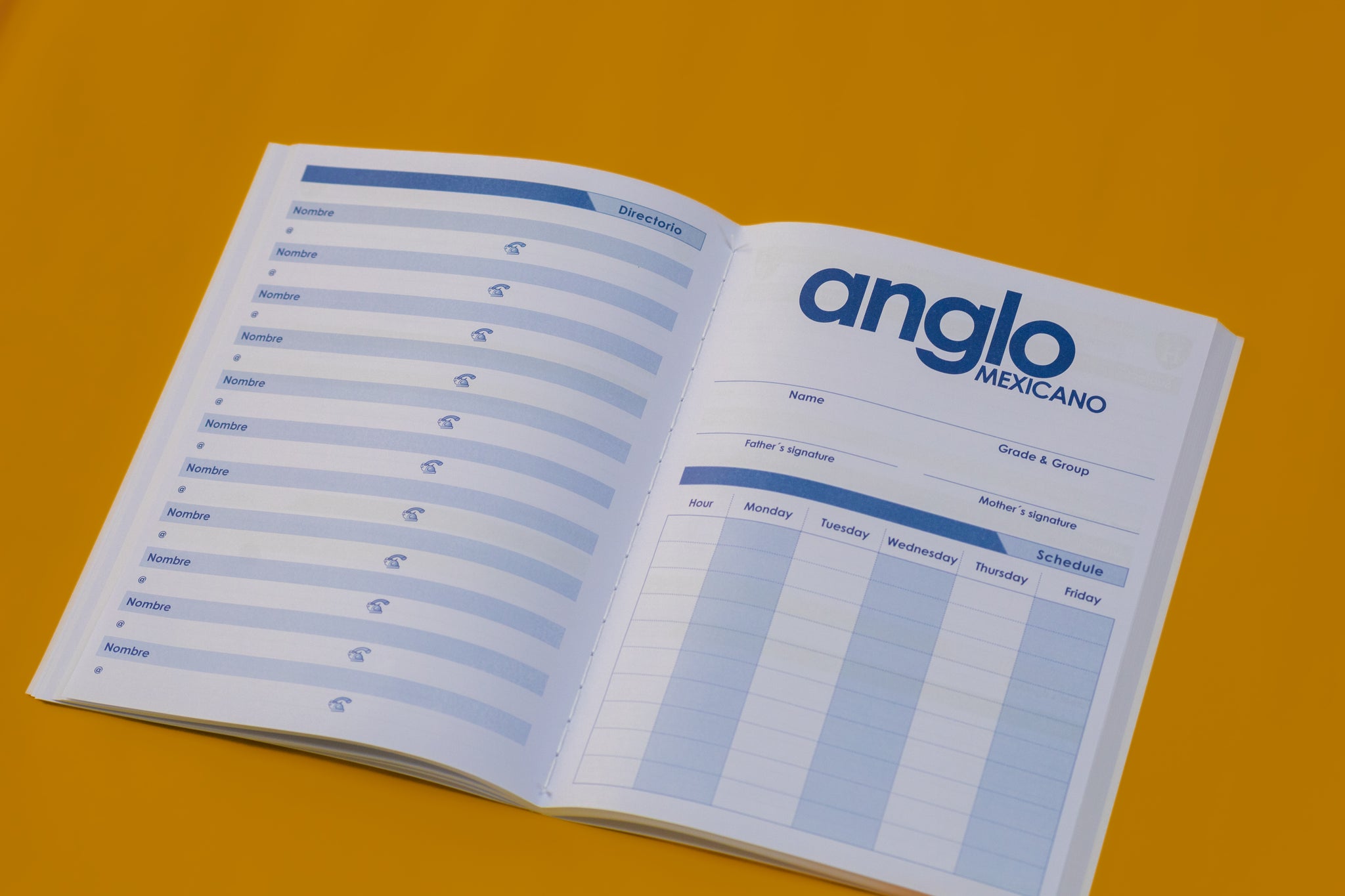 Paquete de Cuadernos CUARTO A SEXTO - Primaria Anglo Mexicano