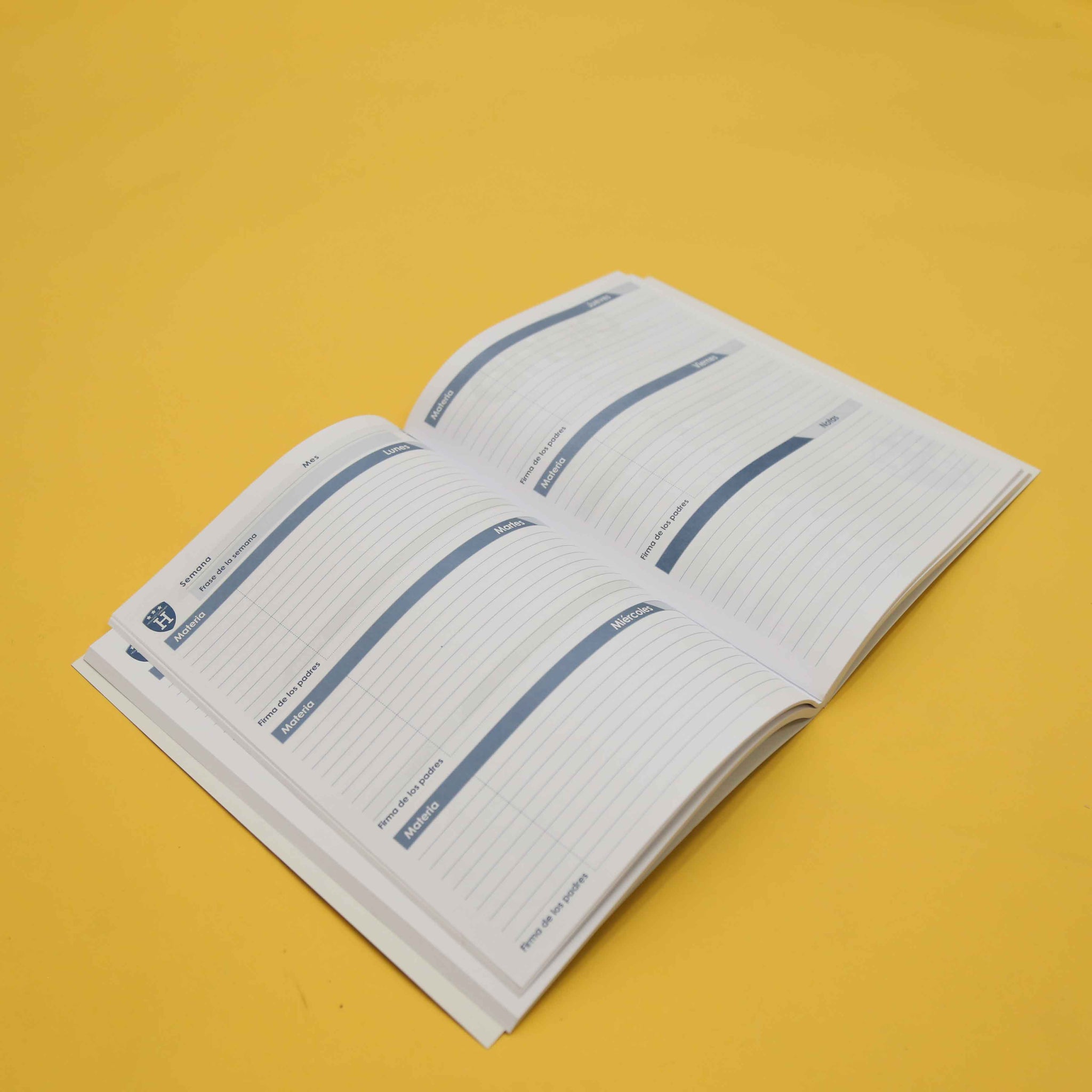 Paquete de Cuadernos PRIMERO A TERCERO - SECUNDARIA - Howard Gardner